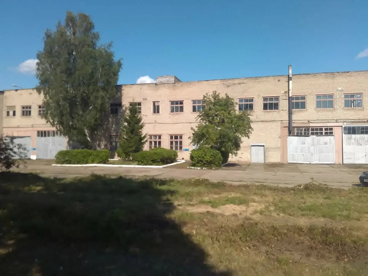 Сад 4 бердск. Рогачев сад. Ясли сад 13. Рогачевская школа под детский садик. Сад 9 бердск.