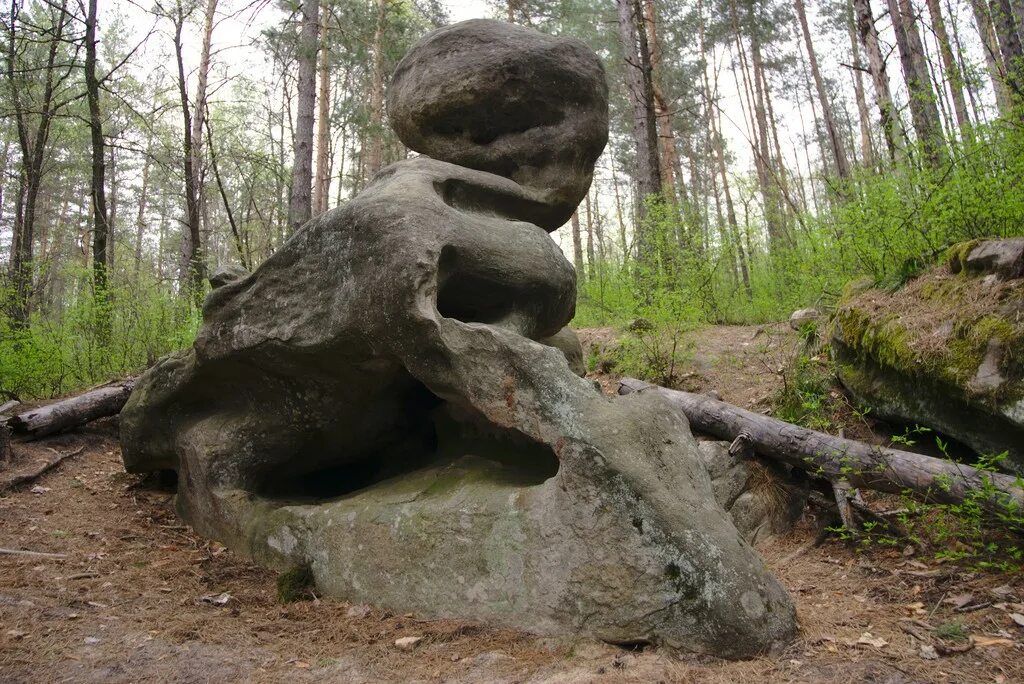 Чертов лес