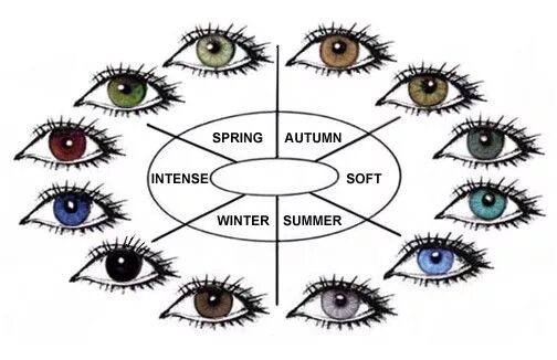 Наследование цвета глаз от родителей таблица. У отца карие глаза у матери зеленые какие будут у ребенка. Смешение цвета глаз. Где какие глаза. Хазел цвет глаз.