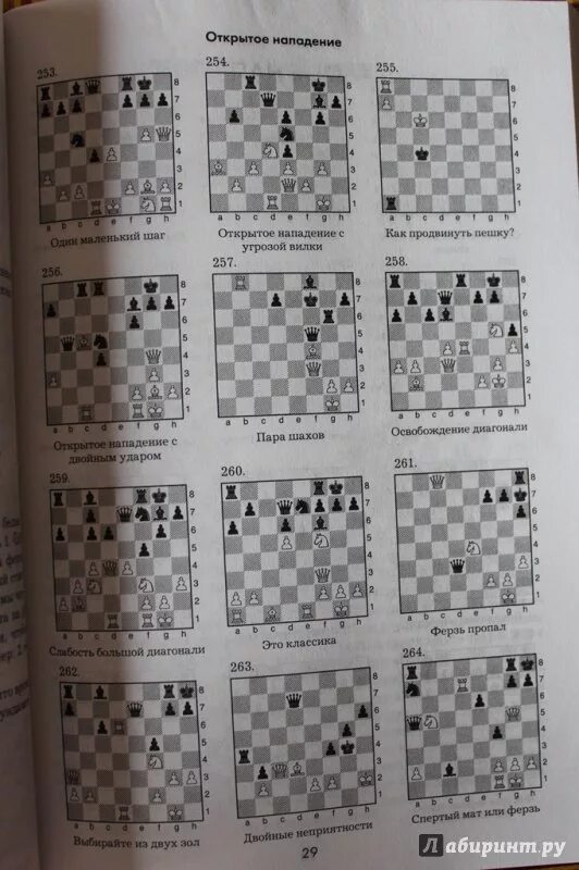 Задачи по шахматам нападение. Нападение в шахматах задачи. Шахматные задачи с вскрытым нападением. Открытое нападение в шахматах.