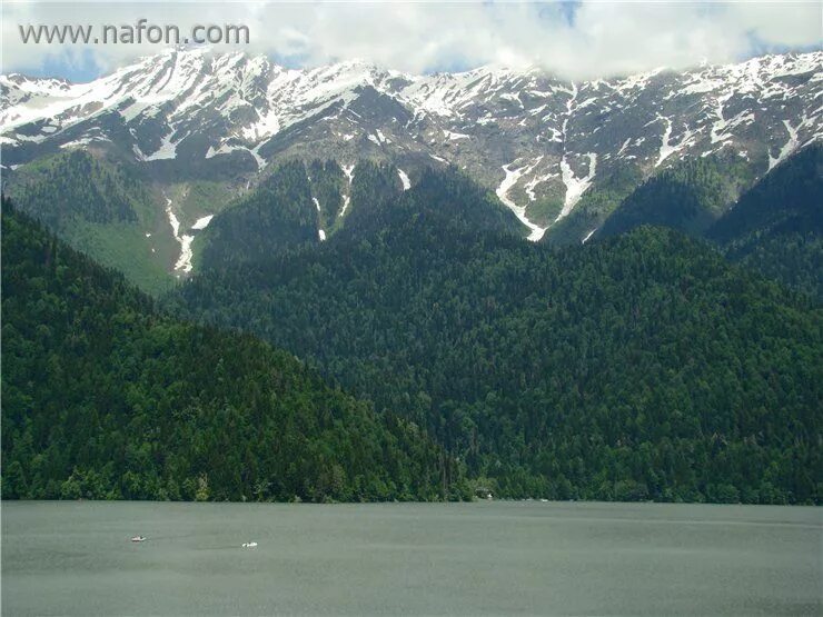 абхазия горы рица + голубое озеро. национальный парк рица абхазия. абхазия озеро рица новый афон. абхазия над уровнем моря. озеро рица жемчужина абхазии.