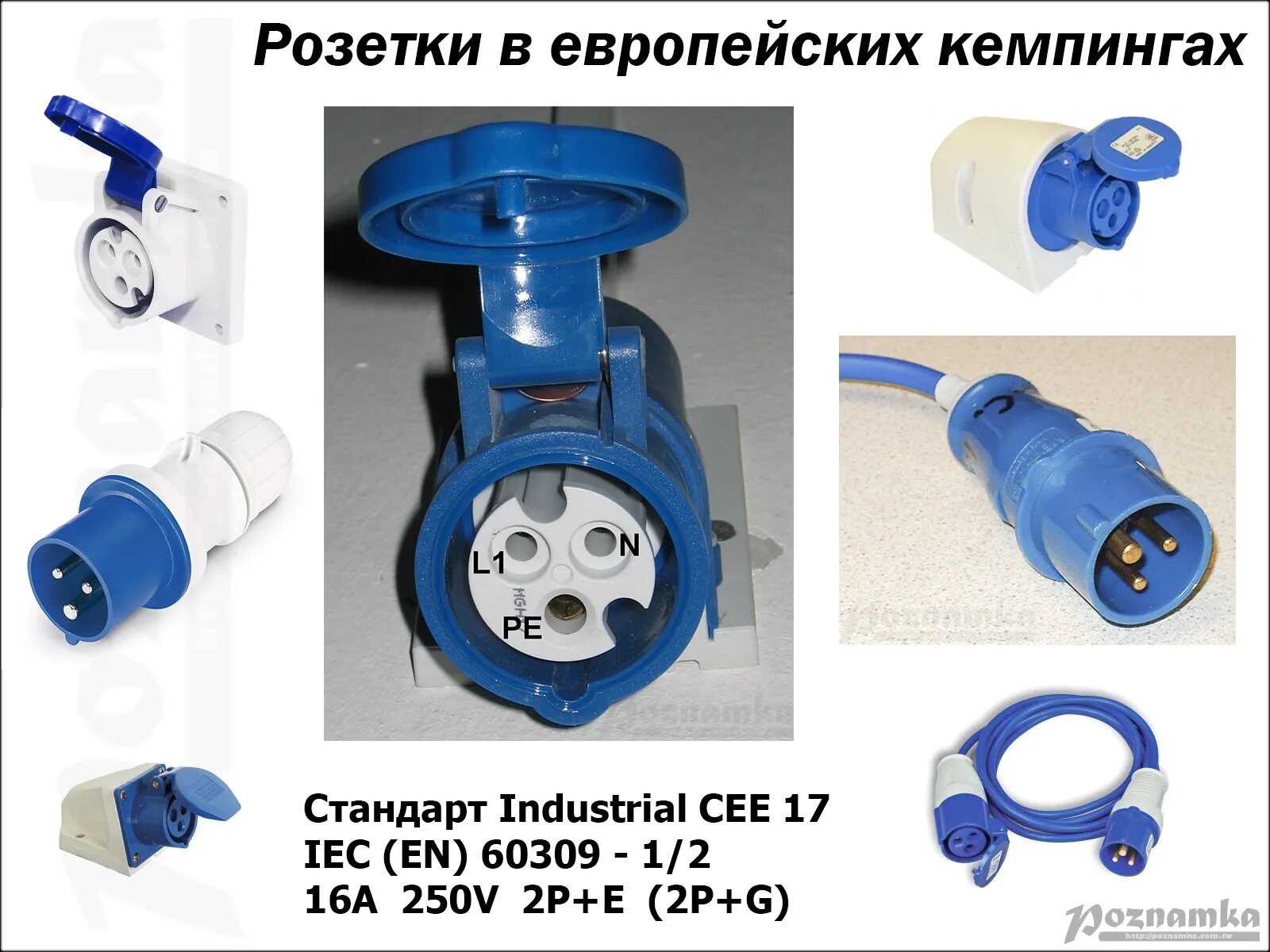 Розетка типа 1 2