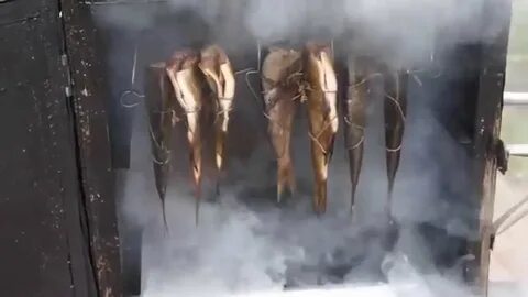 Как коптить дымогенератором холодное копчение правильно