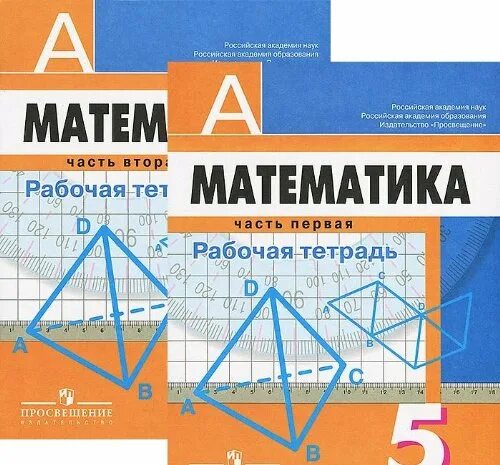 Математика 5 класс Дорофеев. Рабочая тетрадь Дорофеев 5 класс. Математика. Рабочая тетрадь. Учебник математики 5 класс Дорофеев Шарыгин.