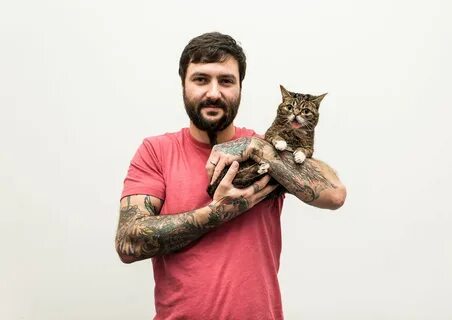 Коте блоггер