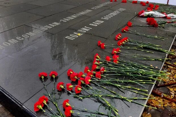 Гвоздики возлагают в Волгограде зимой. Алая гвоздика 9 мая. Сколько штуки цветы тюльпаны возлагать к памятнику. Гвоздики волгоград