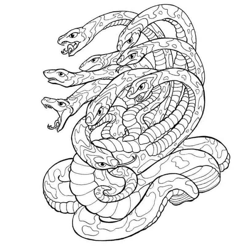 Раскраски змей распечатать. Змея раскраска. Раскраски змей. Раскраски со змеями. Разукрашки змеи.