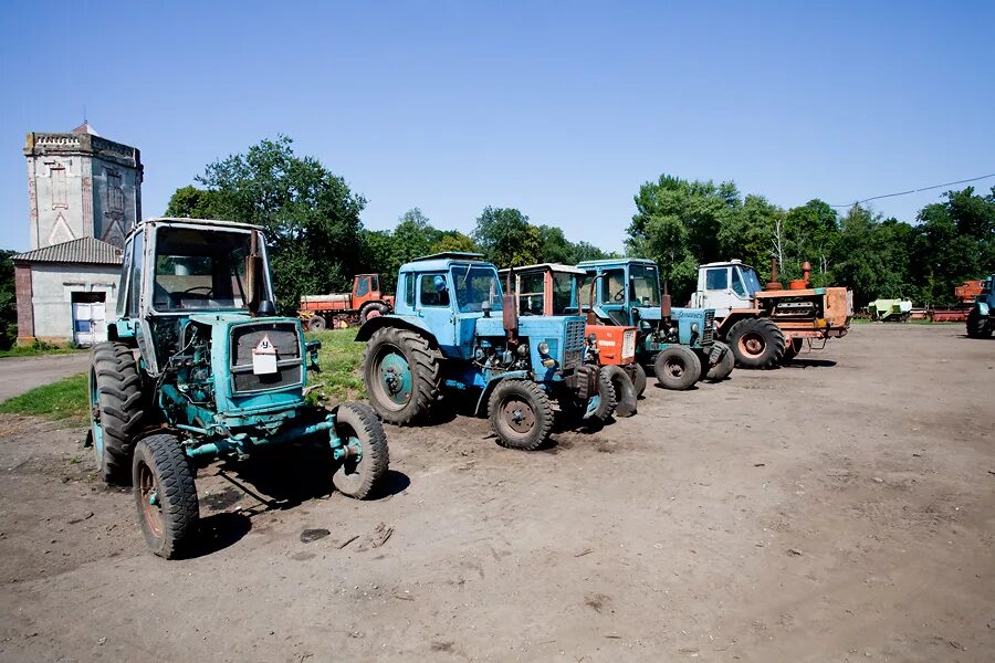 Совхоз ссср. Совхоз корсаковский. Трактор беларусь трактор кировец беларусь. Совхоз головково наро-фоминский. Трактор мтз 82 заброшенный.