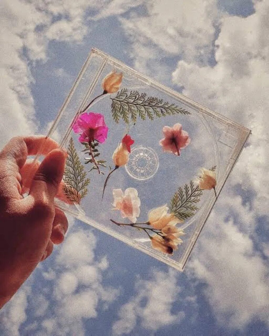 Эстетика. Эстетика красивая. Эстетика нади. Эстетика. Открытки эстетика.