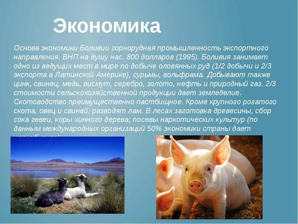 Боливия климатическая карта. Географическая карта боливии. Альмагро что открыл. Боливия сообщение. Боливия географическое положение.