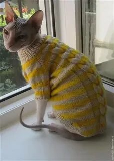 Свитер для кота спицами