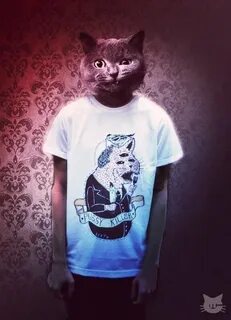 Кот леха