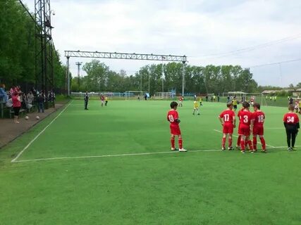 Спортивная школа новосибирск