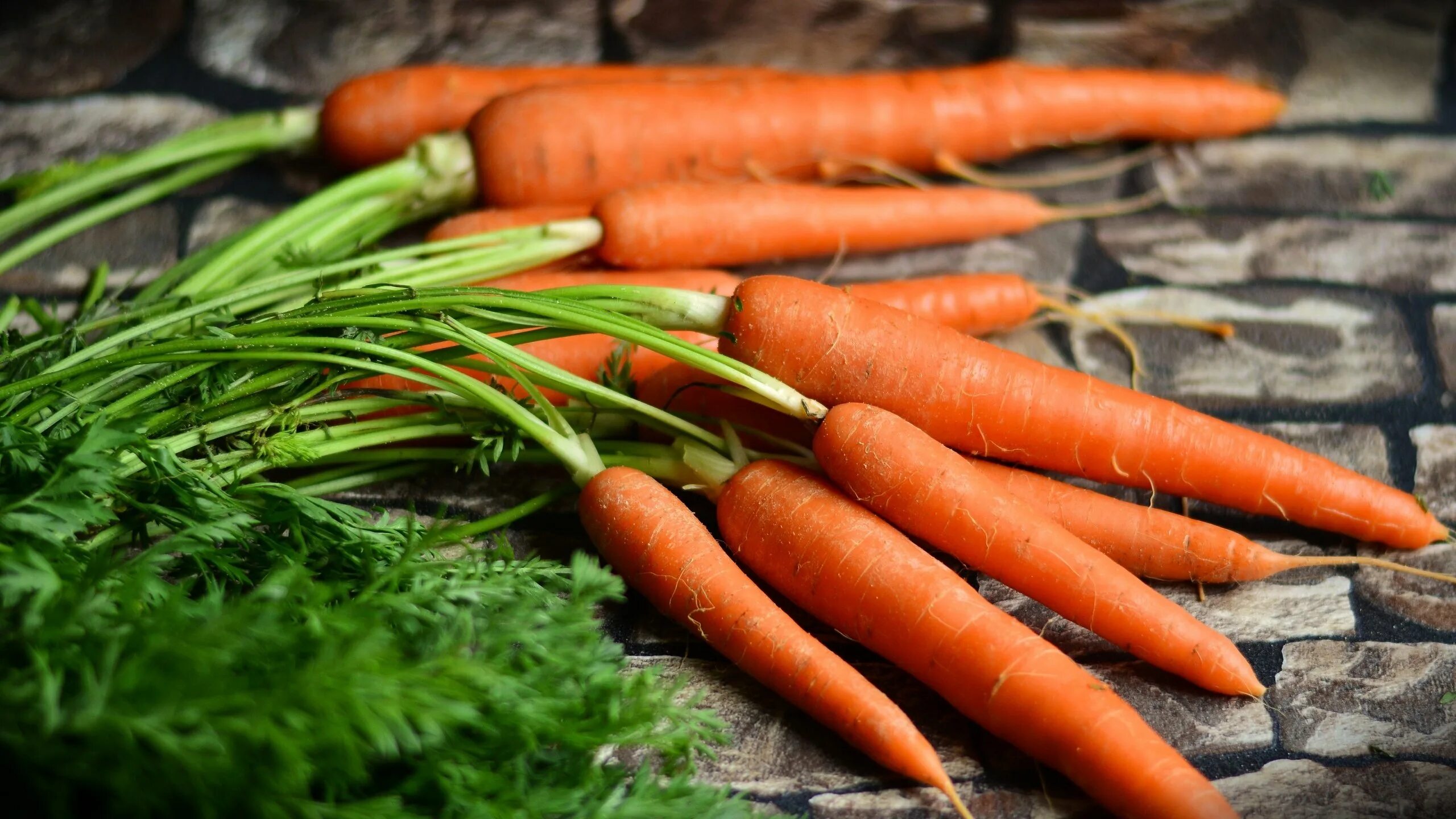 Carrot vegetable. Морковь ранняя ТСХА. Морковь Канада Гавриш. Морковь с ботвой. Юкон морковь.