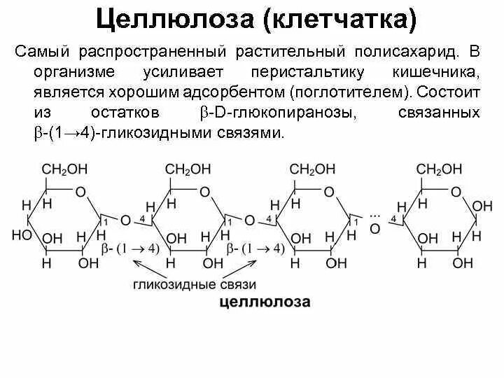 Из каких моносахаридов состоит Целлюлоза. Целлюлоза структура формула. Линейное строение целлюлозы. Целлюлоза моносахаридный состав. Клетчатка строение и функции