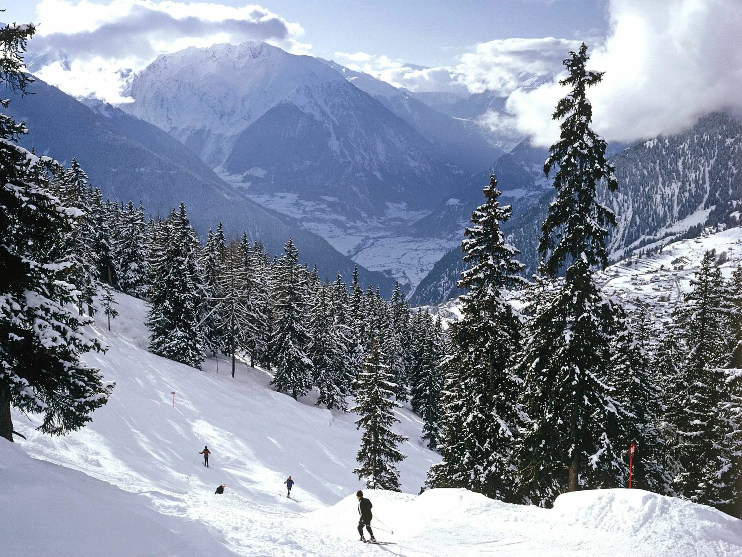 Свисс Альпс. Альпы Швейцария зима. Швейцария Альпы лес. Зимний лес Швейцария. Alp ski