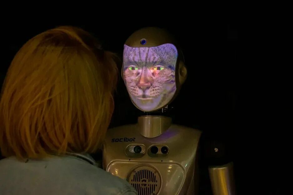 Выставка роботов. Фестиваль роботов чебоксары. Выставка роботов красноярск. Мтв центр выставка роботов. Мтв центр выставка роботов.