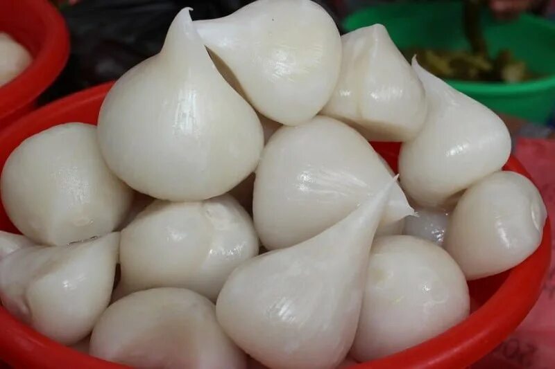 лук гигантский анзур. анзур горный лук. лук-слизун. Allium vodopjanovae. анзур горный лук.