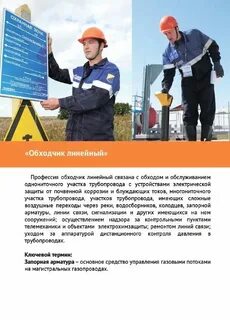 Сколько платят обходчикам на выборах