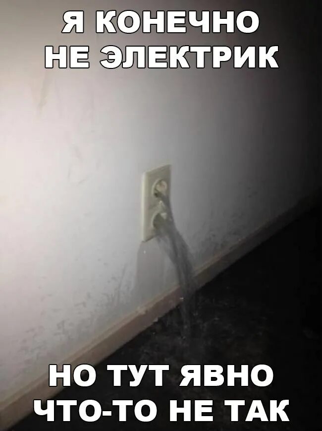 Шутки про элину. Мем с капустой но не красный. Мем я не при делах. Уходи мем. Но не тут то было.