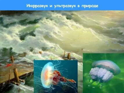 Примеры инфразвука в природе
