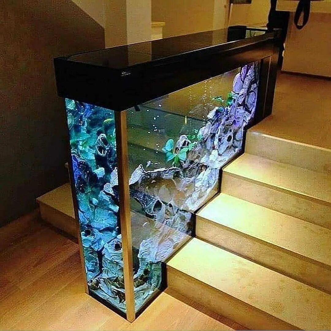 Аквариум aquarium. Необычные аквариумы. Необычные аквариумы в интерьере. Дизайнерский аквариум. Небольшой аквариум в интерьере.