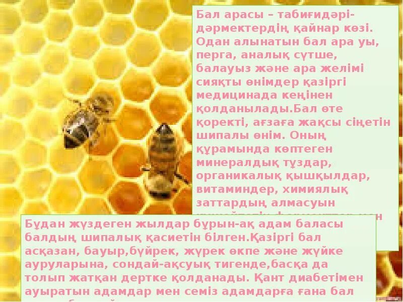 Попугай ара зеленокрылый. Бал ара балы суреттері. Бал ара балы суреттері. Пчелопакеты. Мови аралар.