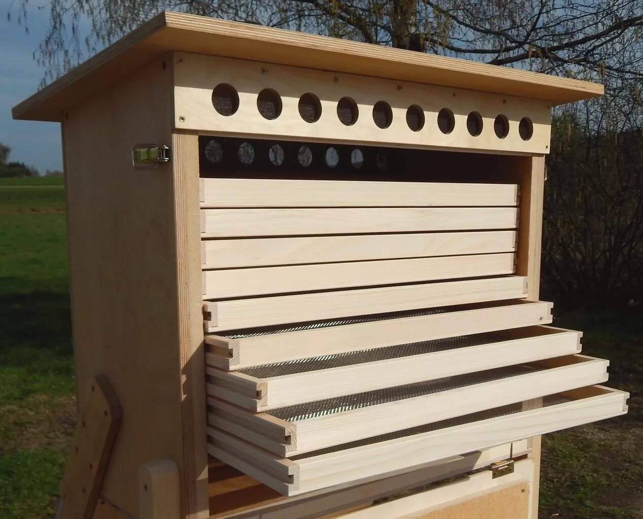 Сушилка изидри 500. Инфракрасный дегидратор l'equip ir d5. Дегидратор делимано. Лучшие электросушилки для овощей и фруктов. Сушилка для овощей clatronic dr 2751.