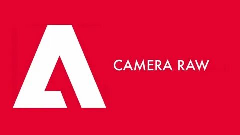 Raw pdf