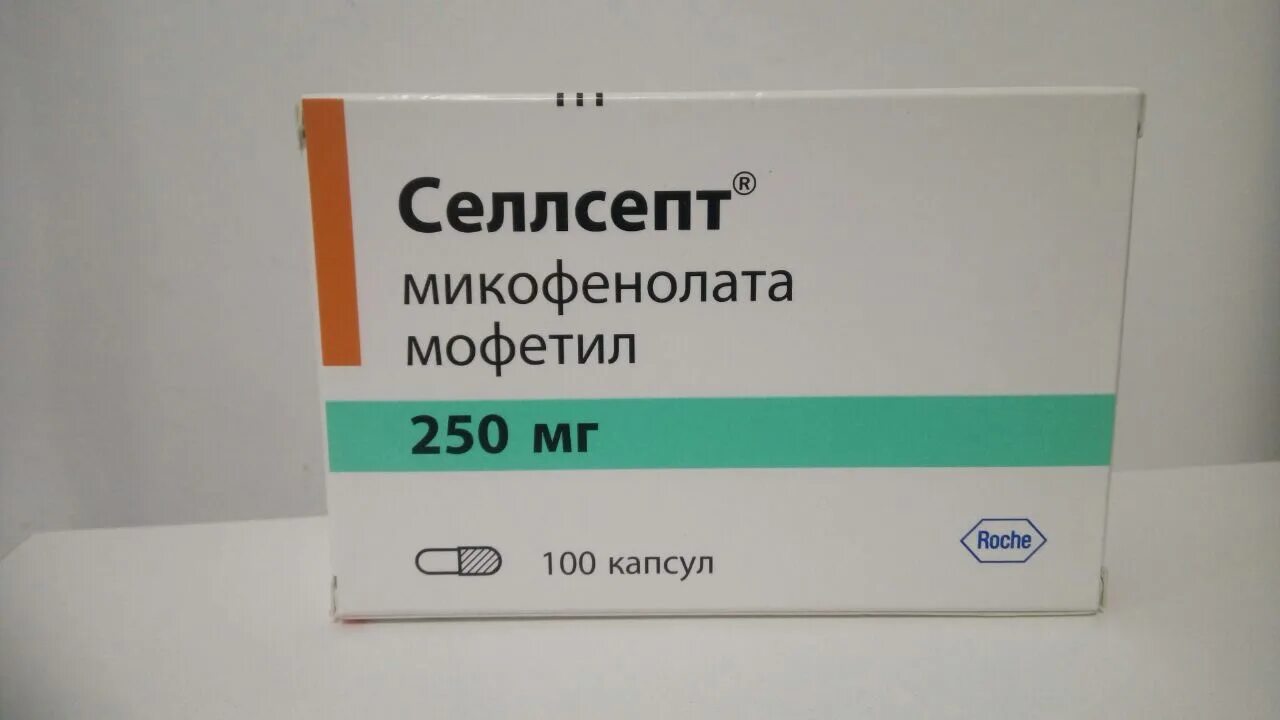 Селлсепт 250 мг. Микофенолата мофетил 250 мг. Селлсепт 250 мг №100 капсулы. Селлсепт 500 мг таблетки. Селлсепт 500