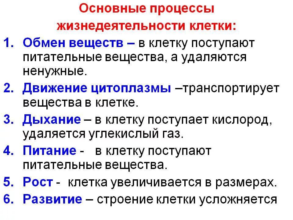 Какие бывают процессы жизнедеятельности