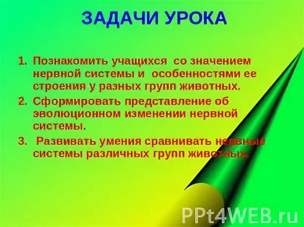 Инстинкт 7 класс. Вопросы по теме нервная система рефлекс инстинкт. Нервная система рефлекс инстинкт 7 класс презентация.