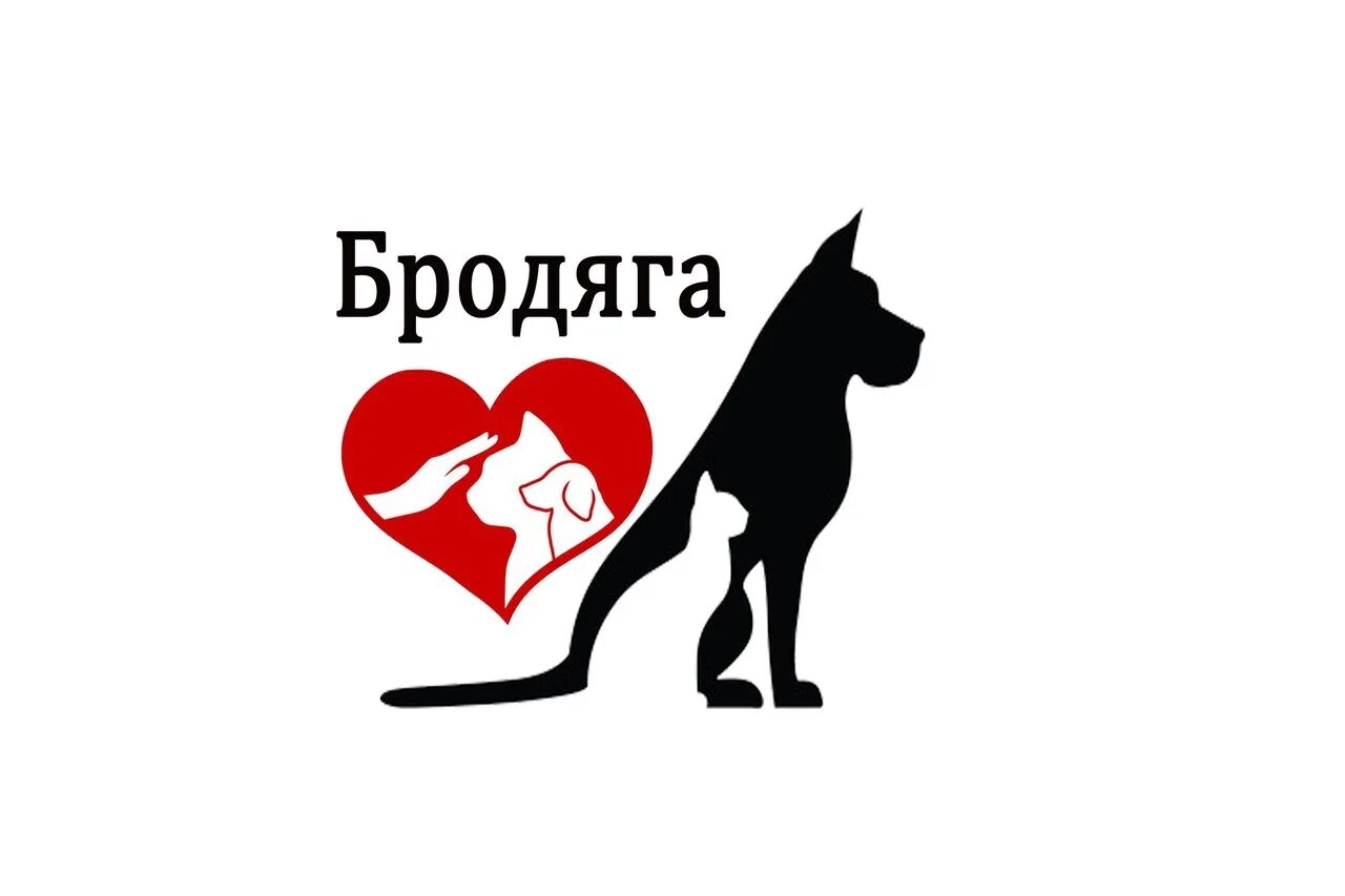 Помощь животным картинки. Помощь бездомным животным севастополь.