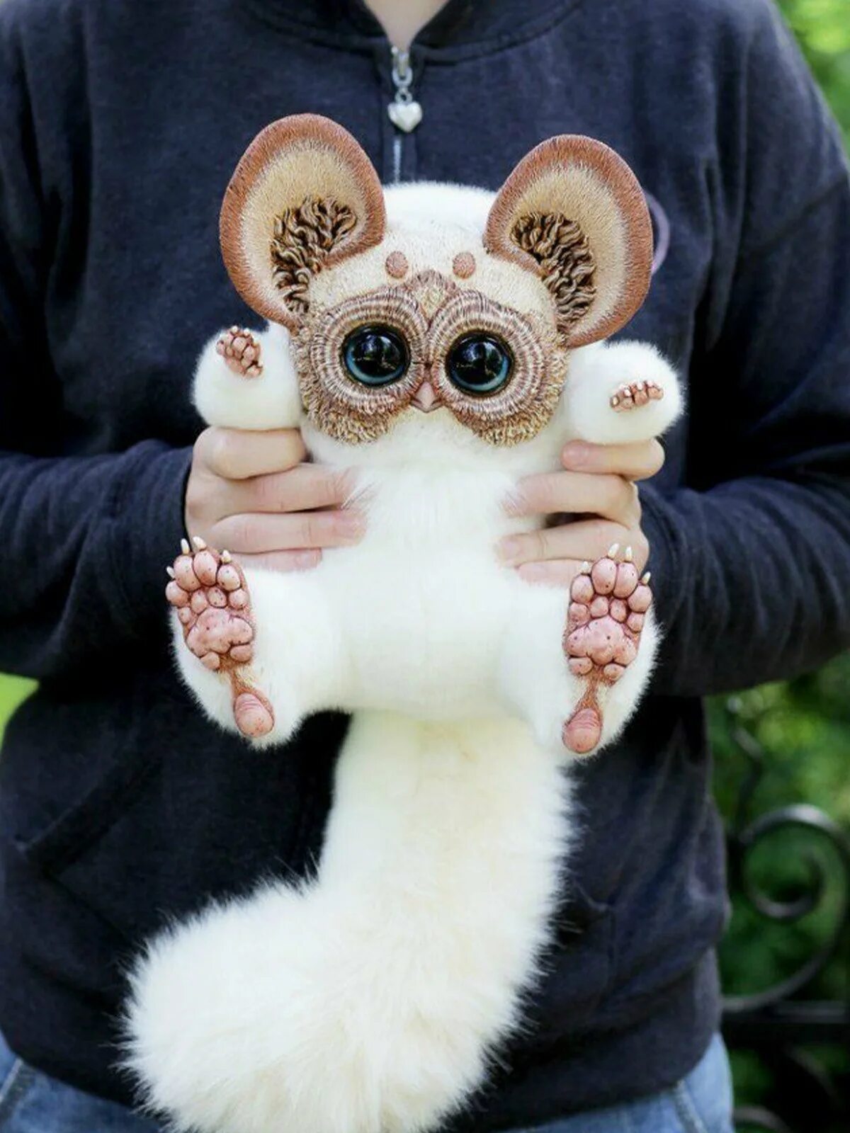 Магадаскарзкий глазо ух. Игрушки Santaniel Inari. Мадагаскарский глазоух. Мексиканский глазоух.