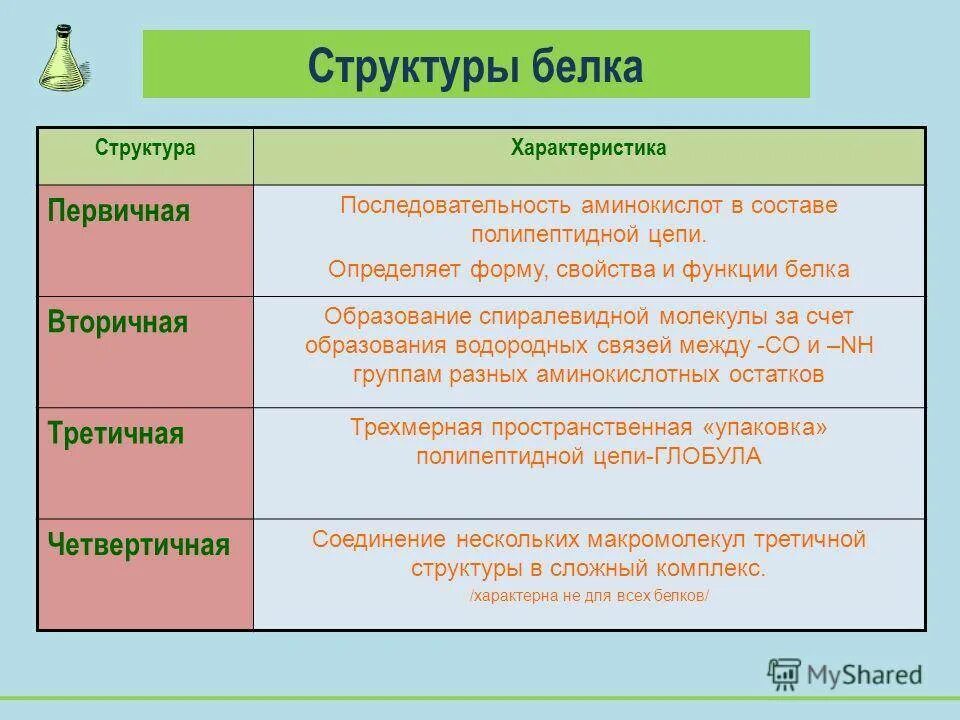 Состав и значение белков. Белок структура и функции. Структуры белков и их функции. Белки состав строение структура свойства и функции. Белки их строение и функции.