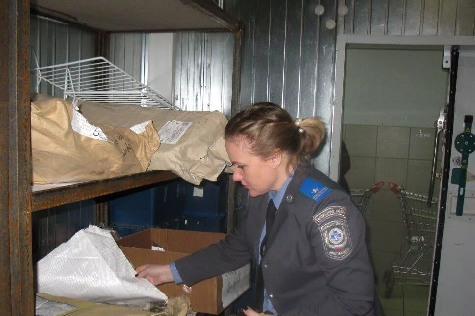 Ветеринарный контроль россельхознадзора. Главный государственный ветеринарный инспектор. Таможенный ветеринарный контроль. Государственный ветеринарный инспектор. Форма ветеринарного инспектора.