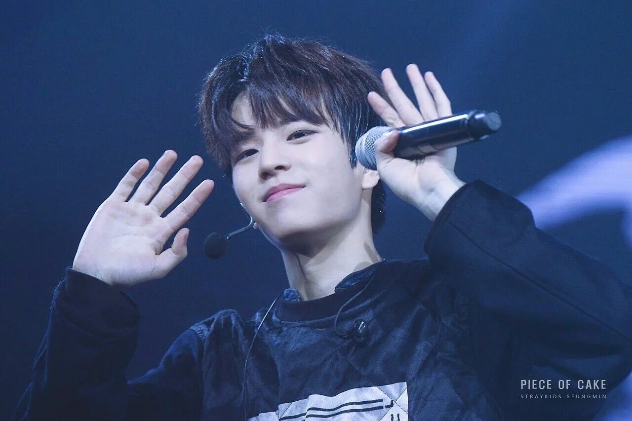 Сынмин стрей. Сынмин stray kids 2025. сынмин 2025.