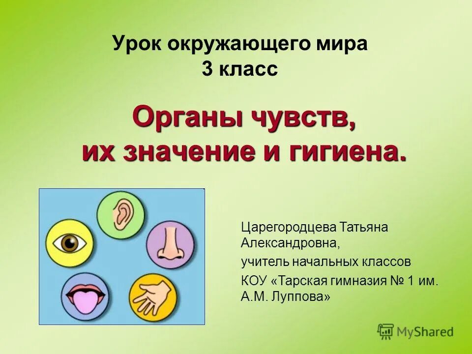 тайна моего имени. урок окружающего языка. загадки природы. картинки на школьную тему для начальных классов. правила гигиены органов чувств.