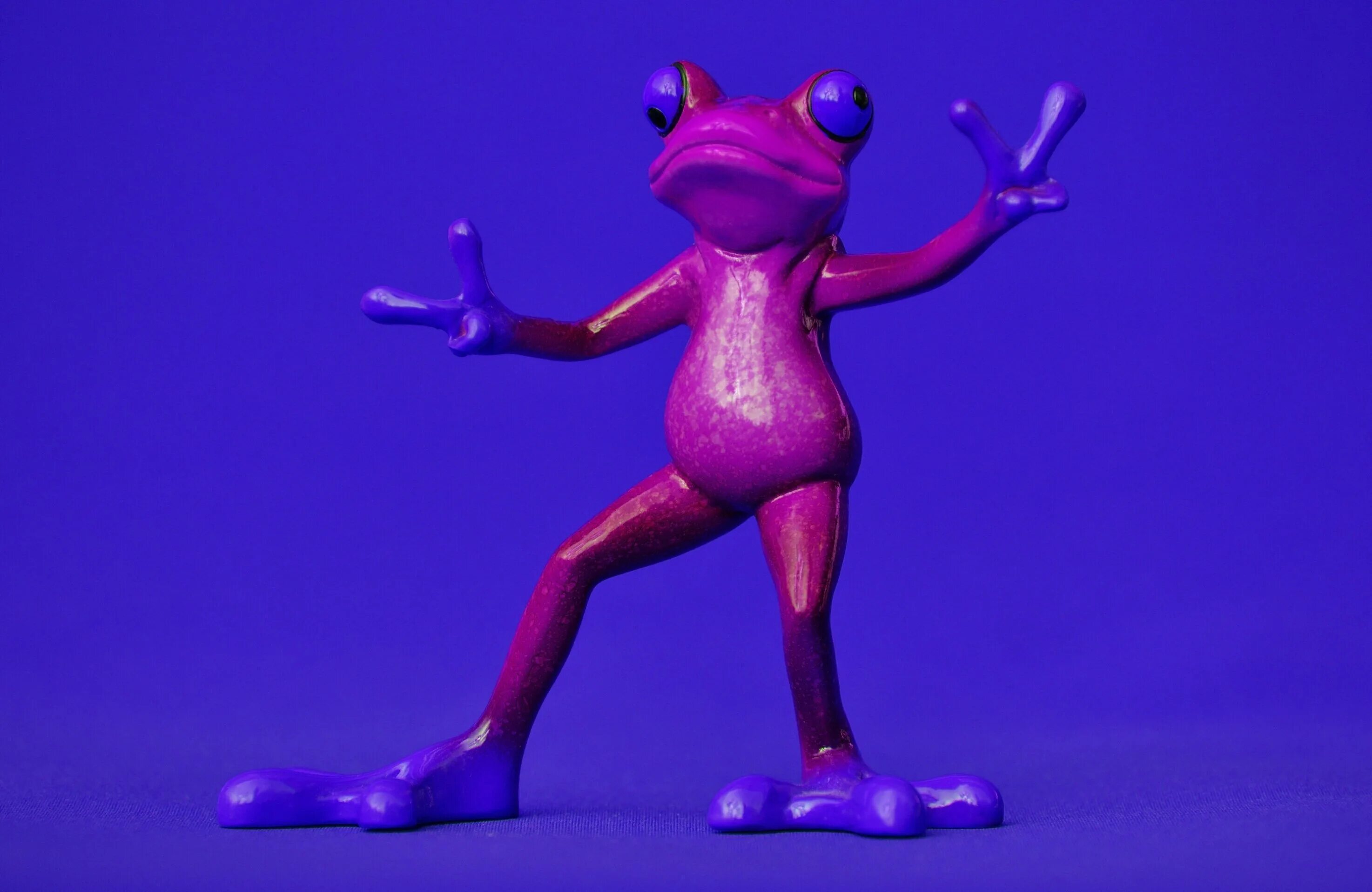 Фиолетовая лягушка. Сиреневая лягушка. Лиловая лягушка. Фиолетовый Лягушонок.