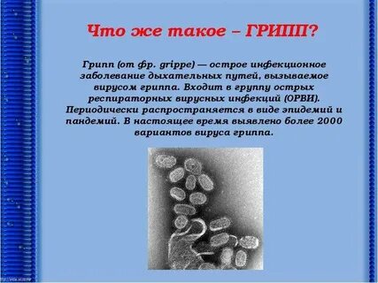 Грипп группа инфекций