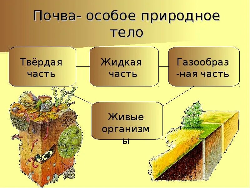 Почва 6 класс география презентация полярная звезда. Почва особое природное тело. Почва презентация. Почвы 6 класс. Строение почвы.