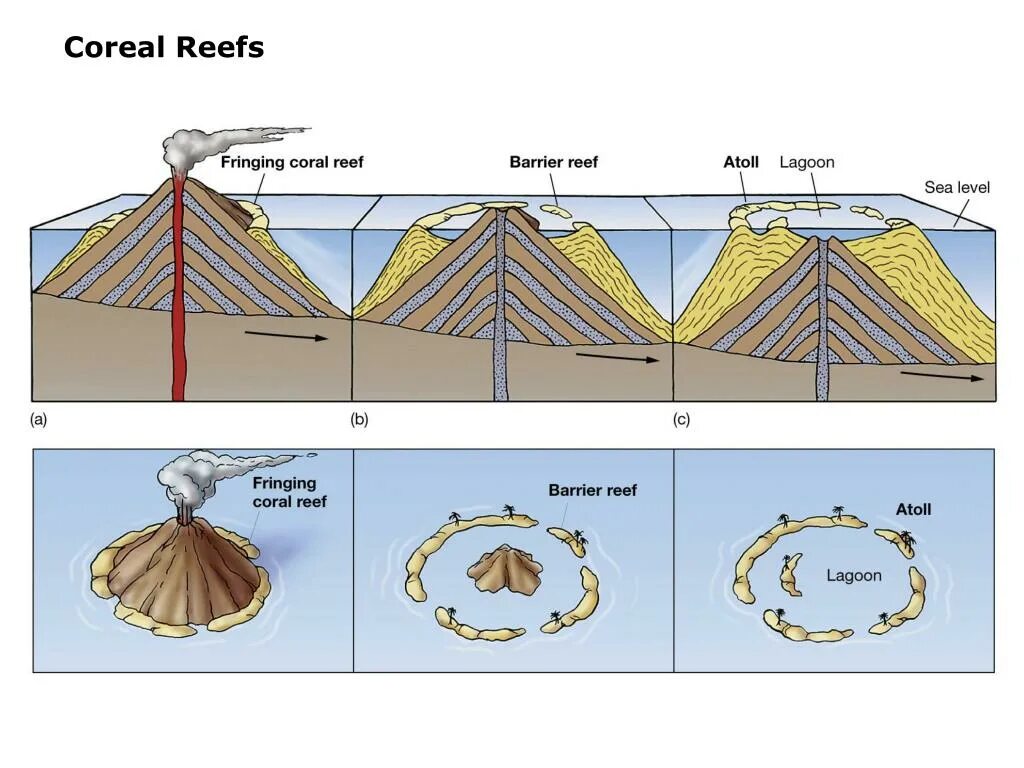 Фильтр атолл с обратным осмосом 550 схема. Атолл как образуется. Образование коралловых островов. Строение атолла. Образование коралловых атоллов.