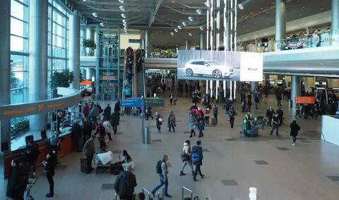 Аэропорт домодедово зона международного вылета