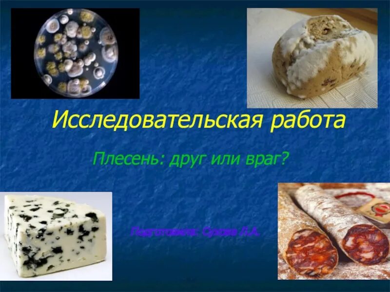 Исследовательский проект плесень на хлебе