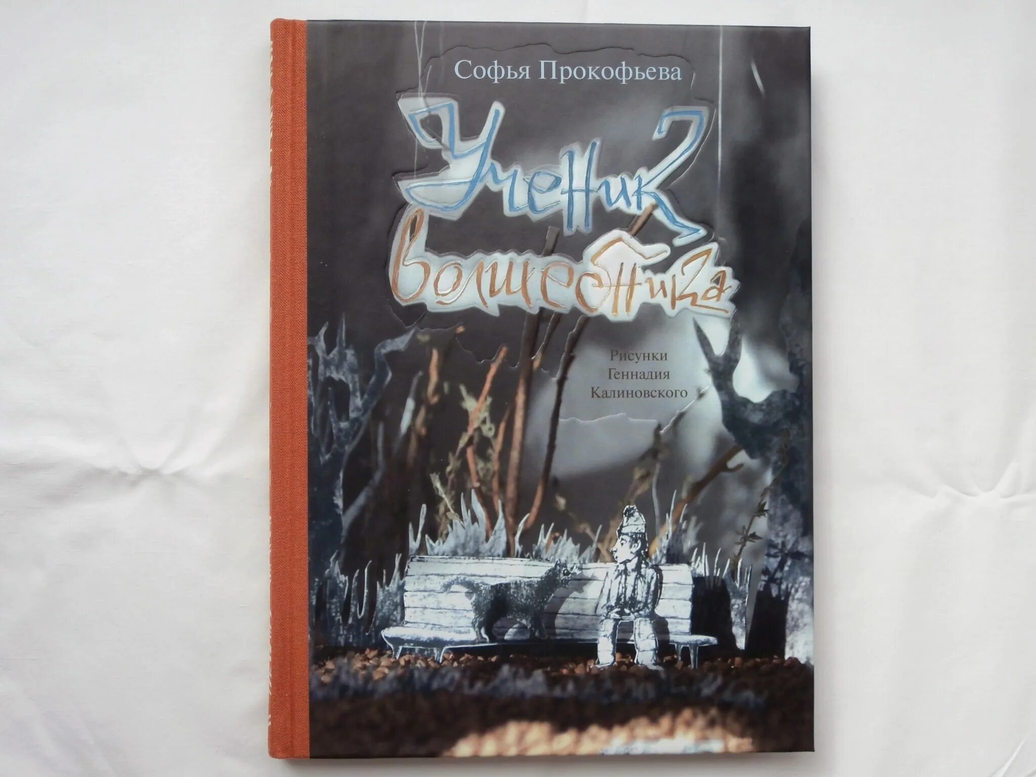 Ученик волшебника читательский дневник. Ученик волшебника прокофьева. Ученик волшебника прокофьева картинки. Софья прокофьева ученик волшебника. Рыцари виктор драгунский книга.