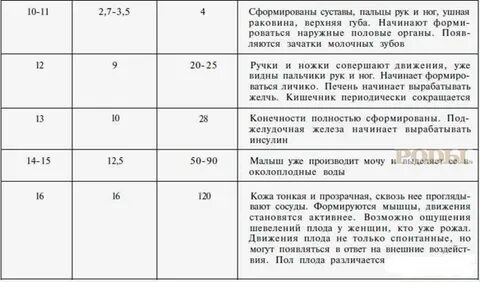 Норма внутриутробного развития плода