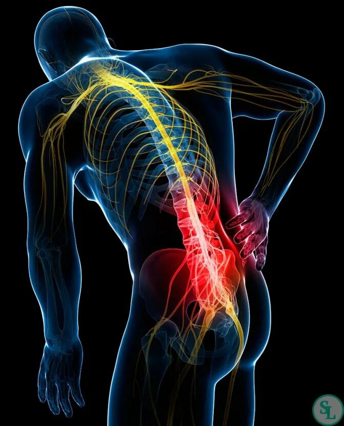 боль в крестцовом отделе у женщин. крестец расположение. болит поясница и крестец. остеохондроз поясничного отдела позвоночника. позвоночная грыжа l1-l2.