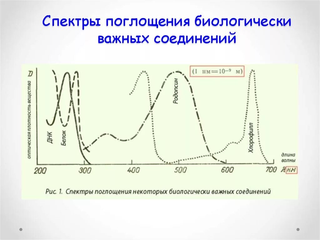 Соотношение поглощения. Спектр поглощения соединений гемоглобина. спектральное поглощение. спектр поглощения характеристика.