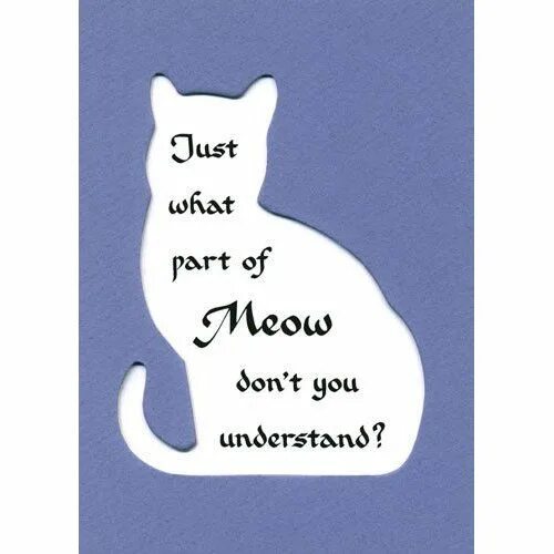 What is just to. Cat quotes. quotes about cats. what part of don&#039;t you understand.
