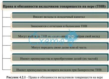 Ответственность по обязательствам товарищества на вере